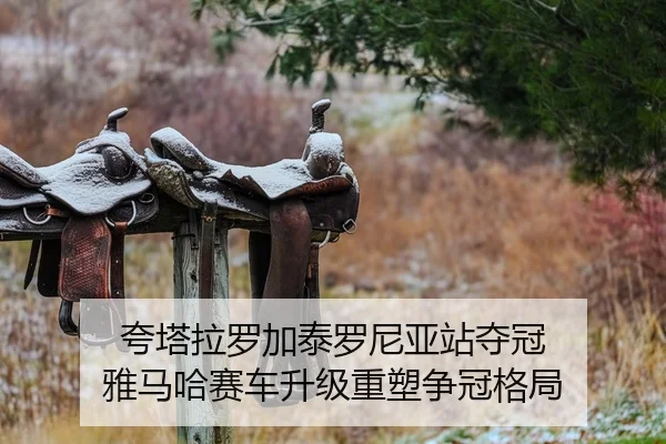 kua-ta-la-luo-jia-tai-luo-ni-ya-zhan-duo-guan-ya-ma-ha-sai-che-sheng-ji-zhong-su-zheng-guan-ge-ju-2-450.jpg